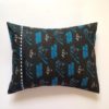 Carolina Panthers Pillow